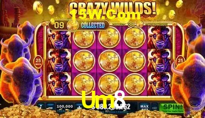 Jackpots e promoções na Um8